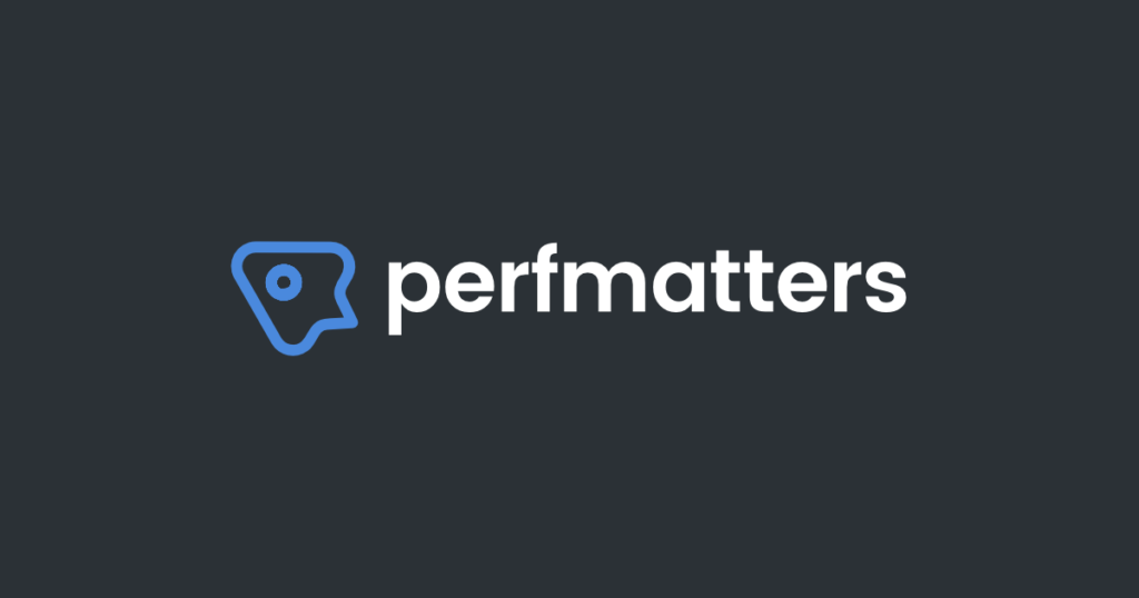 Perfmatters plugin dashboard review 2025